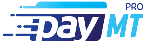 PayMT Pro LLC